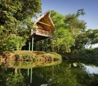 Jungle Camp
